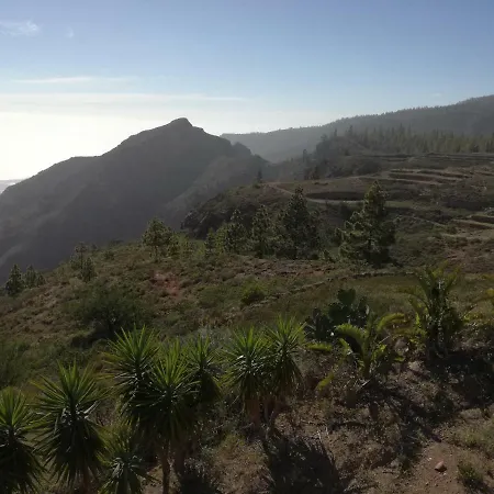 Paraiso * Ifonche
